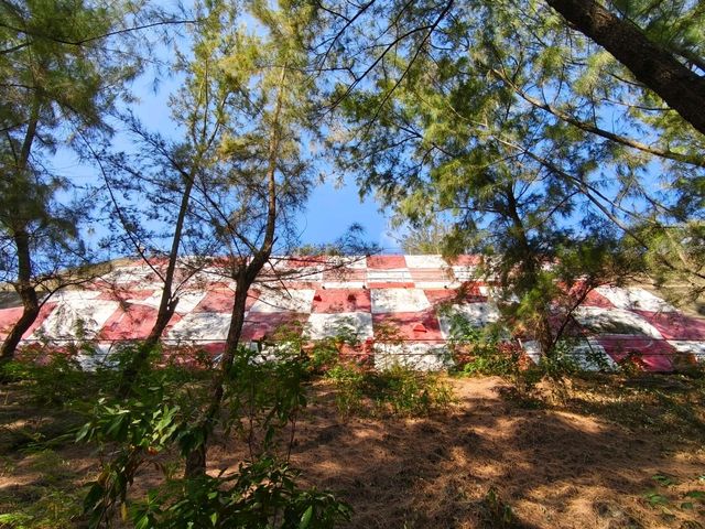 水庫公園對上的小小格仔山丘