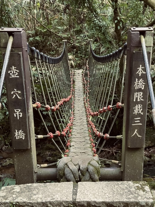 宛如走進宮崎駿的縮小版森林