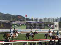 香港賭馬初體驗