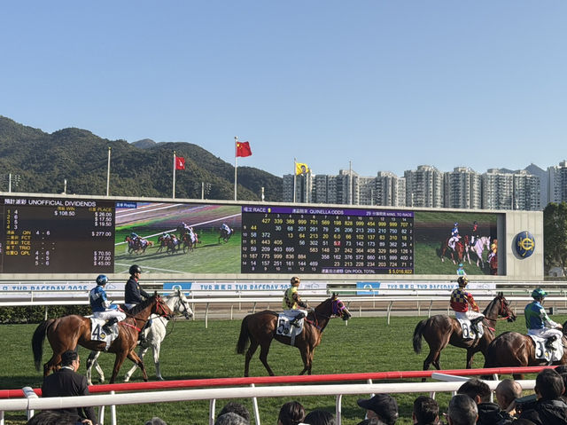 香港賭馬初體驗