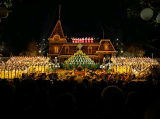 Disneyland California amazing thrilling attractions: Aperfect Honeymoon!