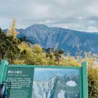 塔關山登山記-南橫三星的最美步道