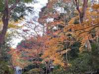 A Sanctuary for the Heartbroken Souls  — The Gio-ji Temple in Arashiyama