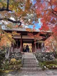 The Everlasting Light of Wisdom in Nirvana — The Jojakko-ji Temple in Arashiyama 