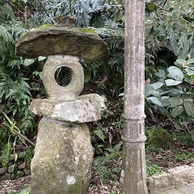 幽靜古樸的指南宮竹柏參道—彷彿走進日式秘境
