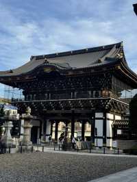 Naritasan Day Trip: Unveiling a Hidden Gem Near Tokyo