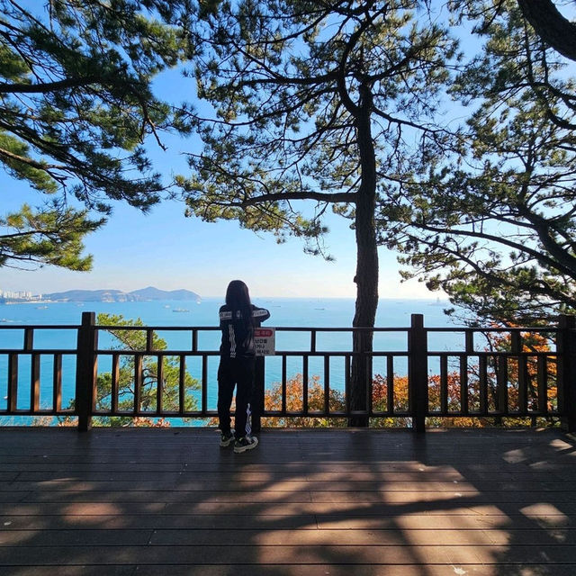 【釜山】這裡擁有多條海岸步道，能夠欣賞南海的壯闊景色。