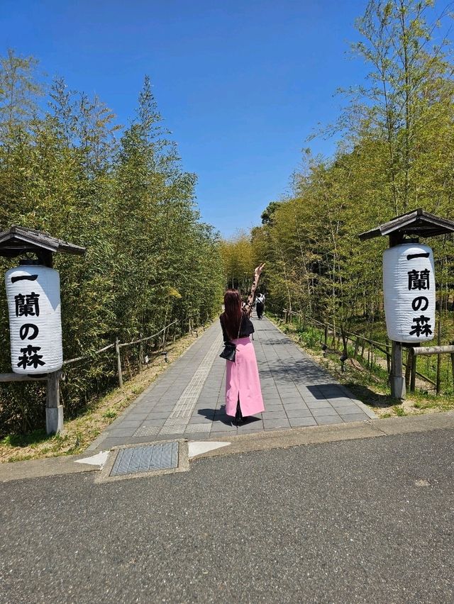 一蘭のテーマパーク？