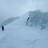 Unforgettable Powder at Furano Ski Resort 🇯🇵