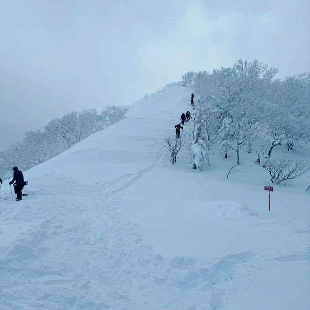Unforgettable Powder at Furano Ski Resort 🇯🇵