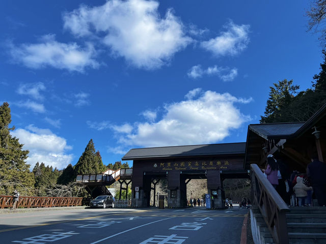 森呼吸🌱阿里山神木健行旅遊