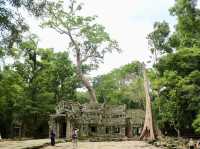 A Temple Frozen in Time: Ta Prohm