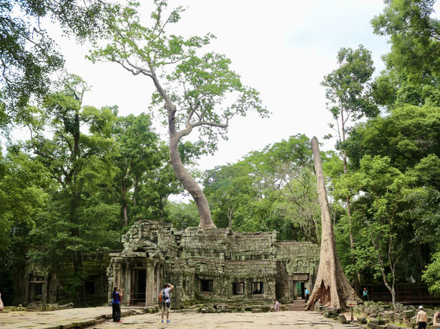 A Temple Frozen in Time: Ta Prohm