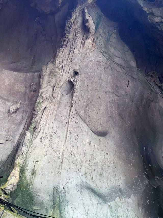 Explore Wind Cave and Admire its Limestone Formation!