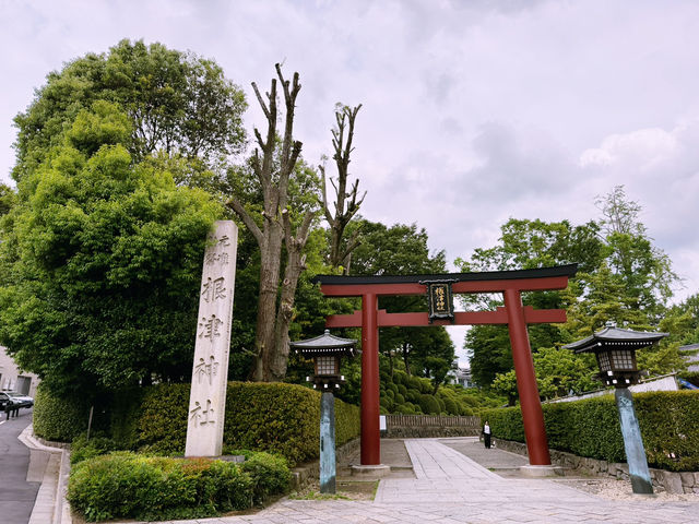 東京根津一日遊：文化與自然的完美結合 🌸🏞️