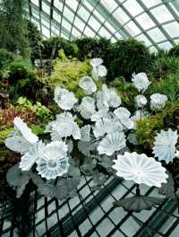 Gardens by the Bay, a must-visit attraction in Singapore!