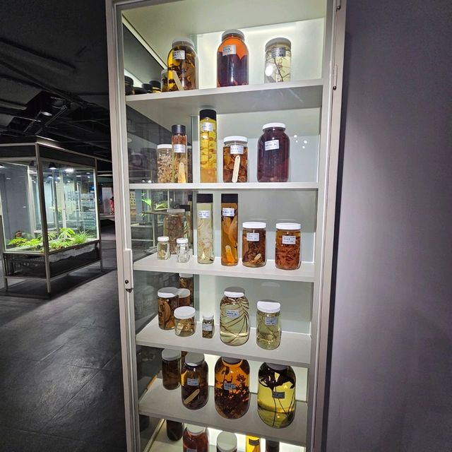【台北】定期推出不同主題的科學特展，每次展覽都極具教育與娛樂性。
