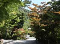 Eikando Temple: Kyoto’s Autumn Wonderland