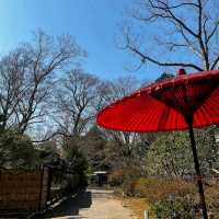 Rikugien Garden (六義園)