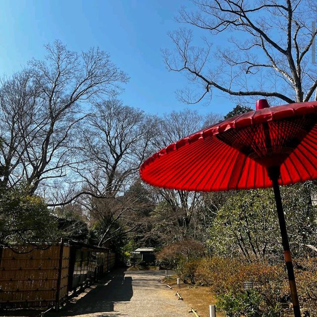 Rikugien Garden (六義園)