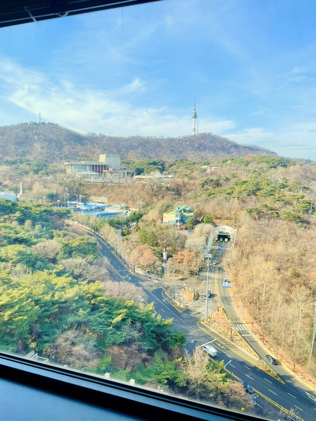 도심 속 럭셔리 호캉스, 여기 어때?🏨