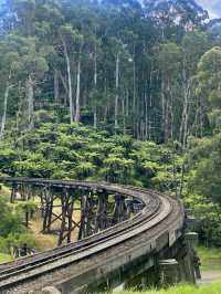 墨爾本蒸氣小火車 | Mt Dandenong