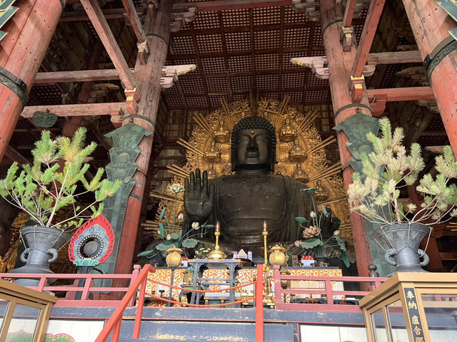 Majestic Todai-ji: Where Ancient Beauty Meets Tranquil Nature