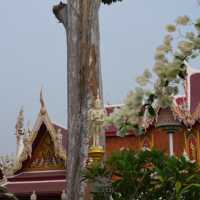 👋 วัดข่อย วัดสวยด้วยเอกลักษณ์ที่โดดเด่น