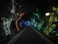 Starlit Serenity: A Nighttime Journey Through Zhaoqing's Seven Star Crags