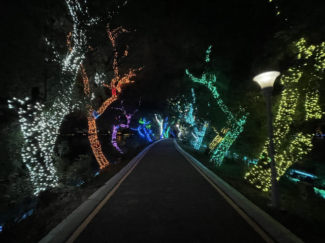 Starlit Serenity: A Nighttime Journey Through Zhaoqing's Seven Star Crags