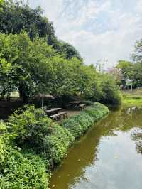 นิยายบ้านสวนคาเฟ่ คาเฟ่สไตล์โฮมมี่ ไทรน้อย ต้องมา
