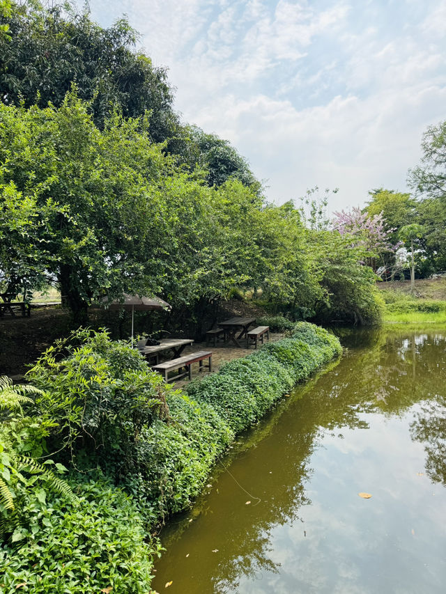 นิยายบ้านสวนคาเฟ่ คาเฟ่สไตล์โฮมมี่ ไทรน้อย ต้องมา