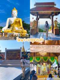 มัดรวม 4 พิกัด เที่ยวเชียงใหม่ 🙏🏼🌳