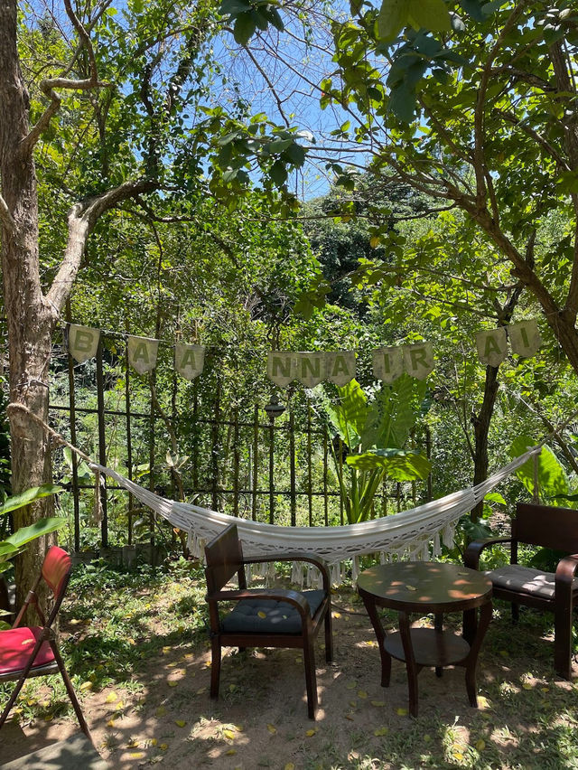 Koh Samui - Baannairai Farm and Cafe