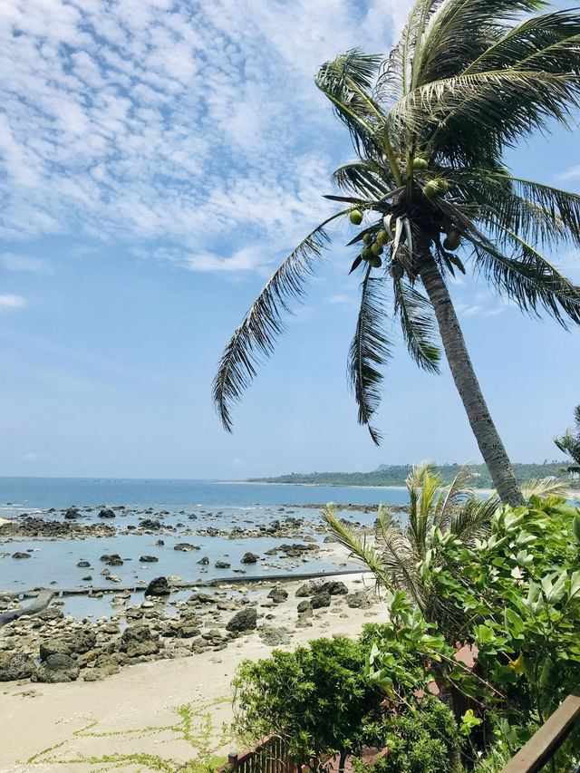 發現富山漁業資源保育區 🎣🌊：與大自然親密接觸的絕佳選擇！🐟🌿