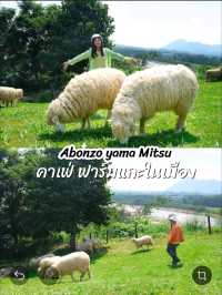 3วัน 2คืน-เที่ยวเชียงรายไม่มีรถส่วนตัวก็เที่ยวได้