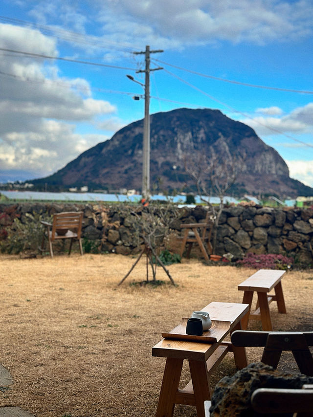 산방산을 바라보고 있는 핸드드립 전문점 💚