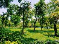 泰國曼谷市中心老城區著名古跡皇家寺廟城市綠洲公園一日遊行程，適合打卡拍照📸