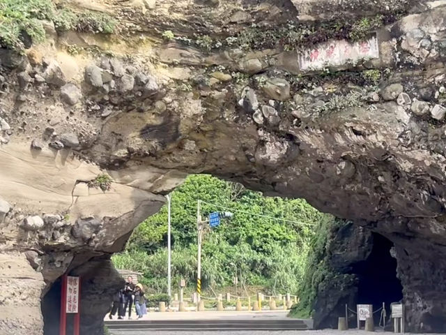 🌿 春季夢幻綠海岸｜老梅綠石槽 夢幻風景