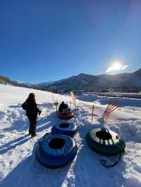 越後湯澤玩雪趣