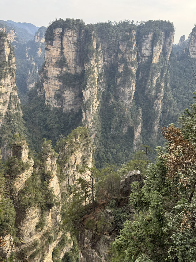 9 Days in Changsha, Zhangjiajie and Fenghuang