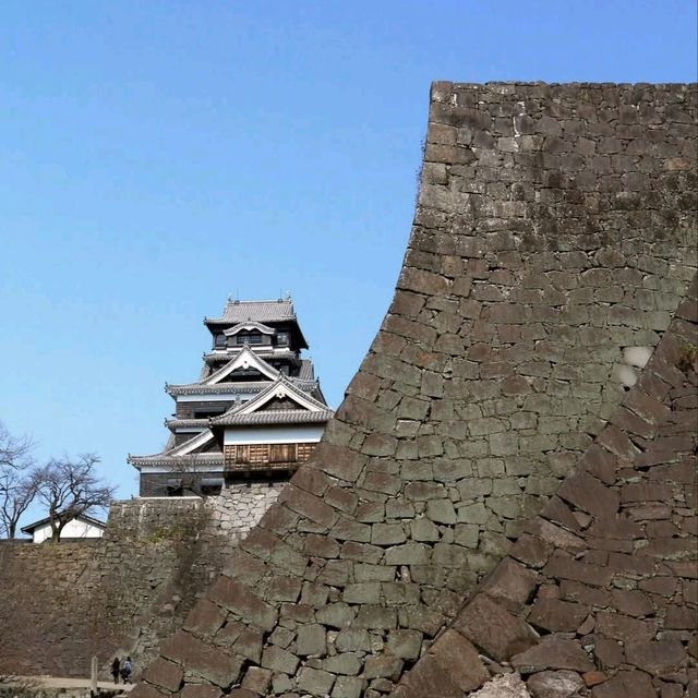 熊本城，拜訪日本三大名城和熊本熊本部長
