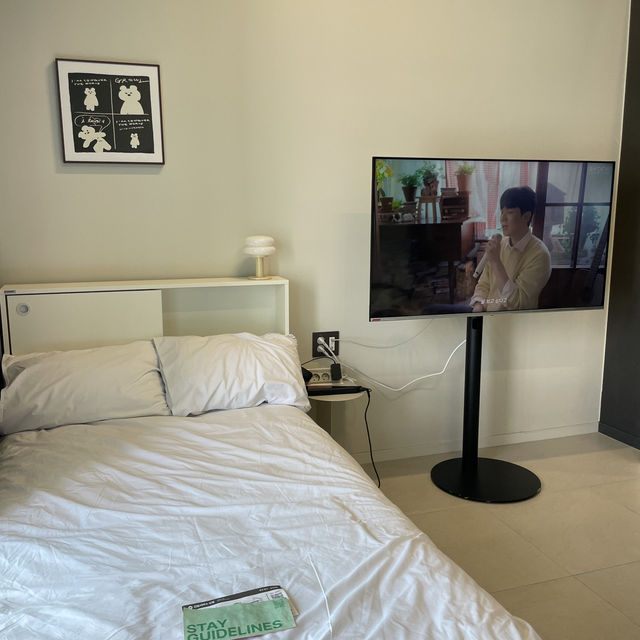 주말도 8만원대 감성 르컬렉티브 시흥 웨이브파크 ‼️