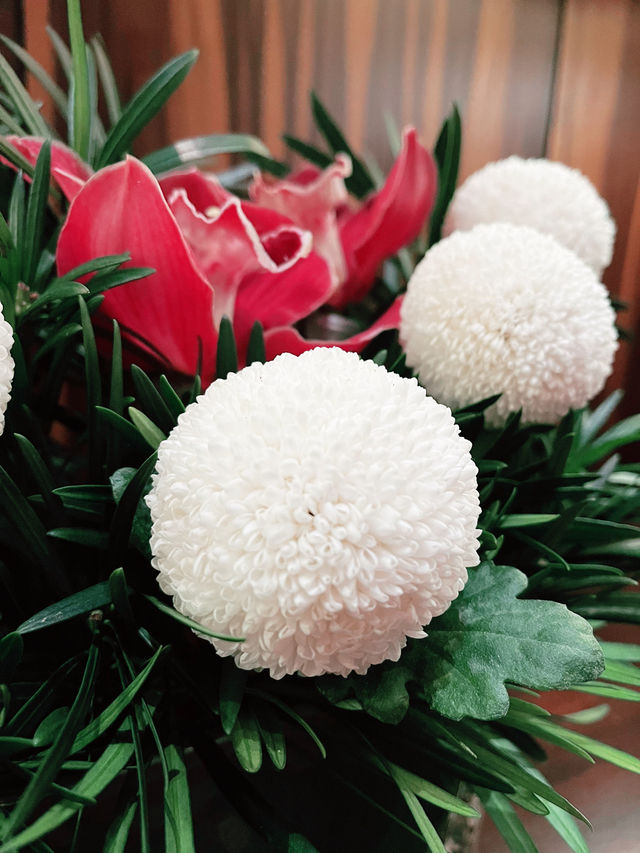 Spring Blooms: Orchids and Chrysanthemum