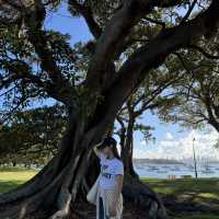 【シドニー】行くならここ行って！Rosebay watsonsbay