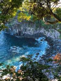 💙 伊豆城ヶ崎海岸｜癒しのクラインブルーに出会う 🌊