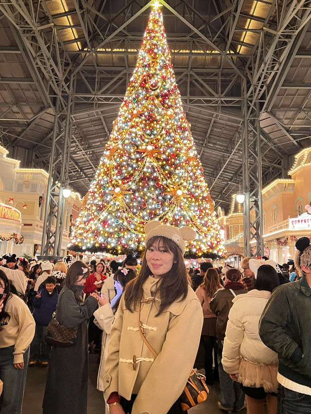 Tokyo Disneyland in December 🎄❄️