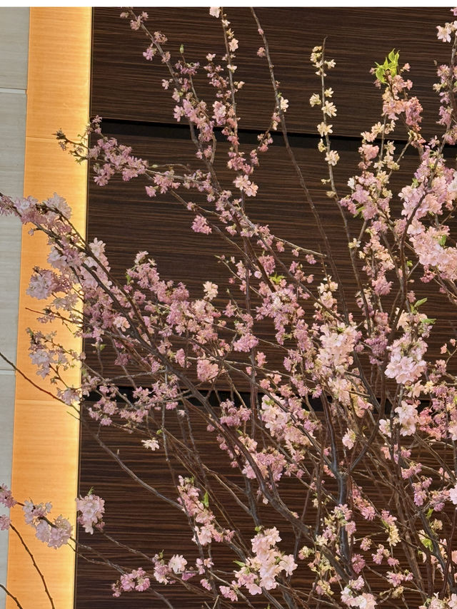 Spring Vibes at Conrad Tokyo: A Sakura Wonderland🌸
