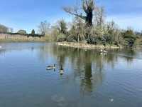 A Morning walking tour at Abbey park 