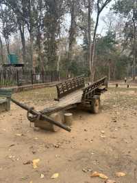 Crocodile breeding centre 